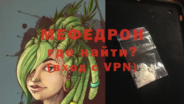 мдпв Ельня