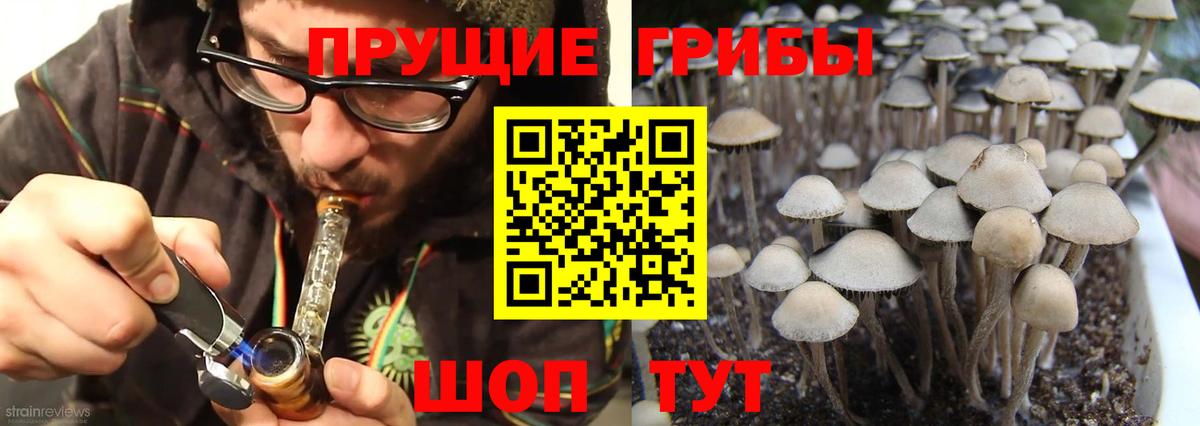 Псилоцибиновые грибы MAGIC MUSHROOMS  Вход с VPN  Избербаш 